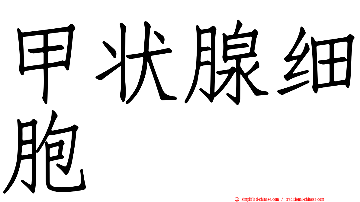 甲状腺细胞