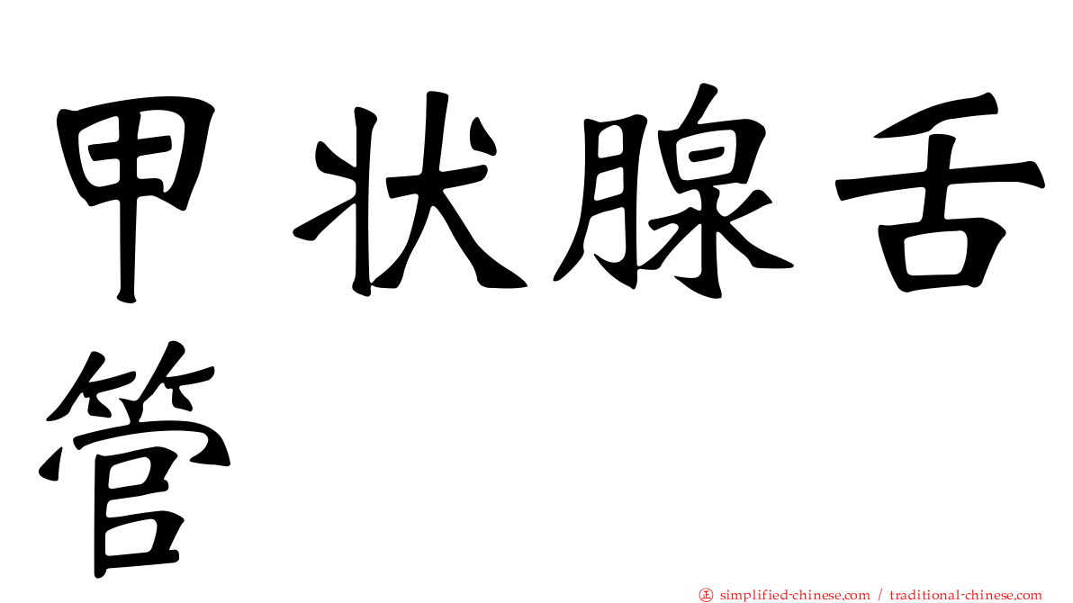 甲状腺舌管