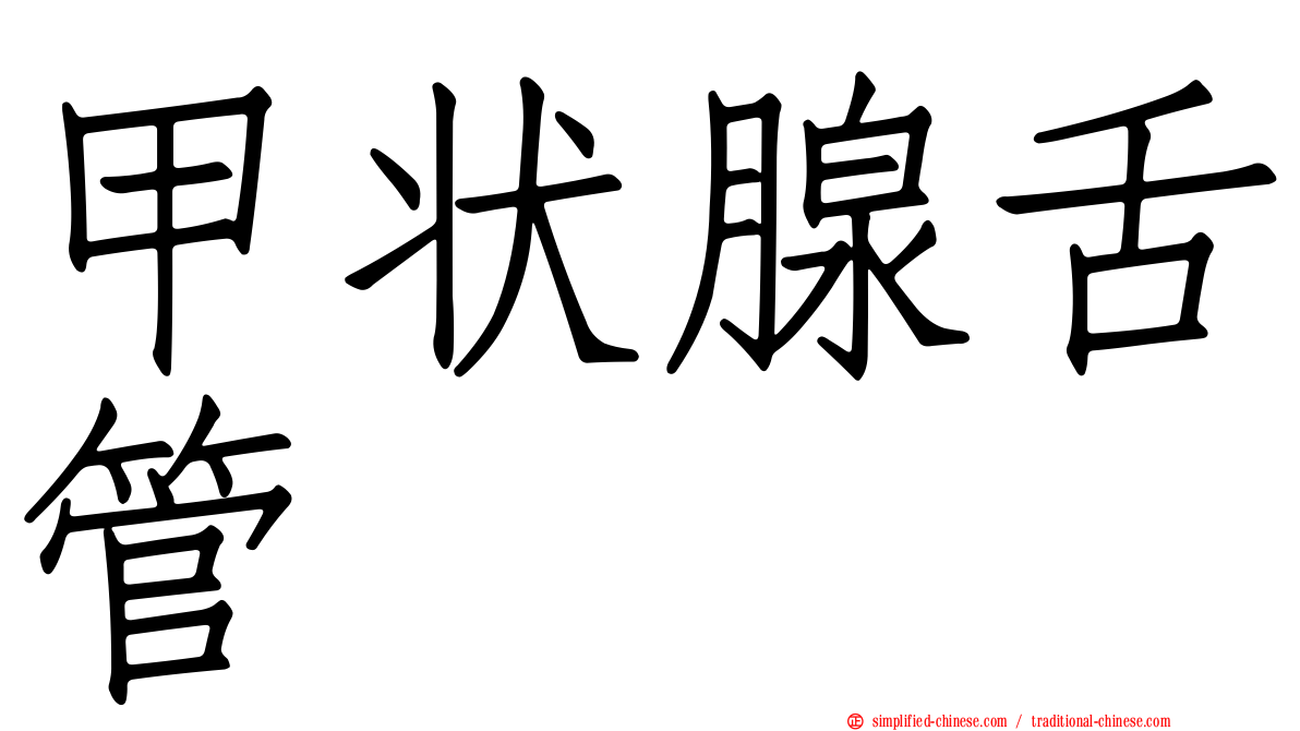 甲状腺舌管