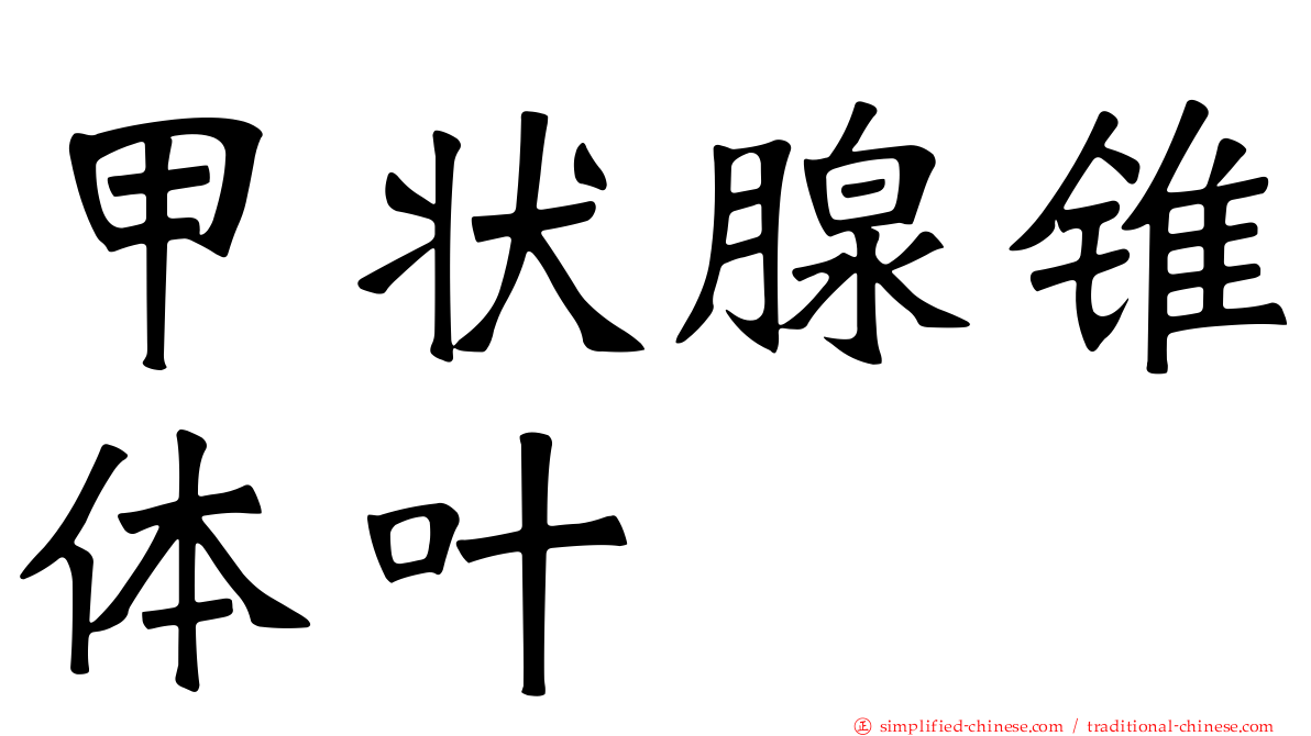 甲状腺锥体叶