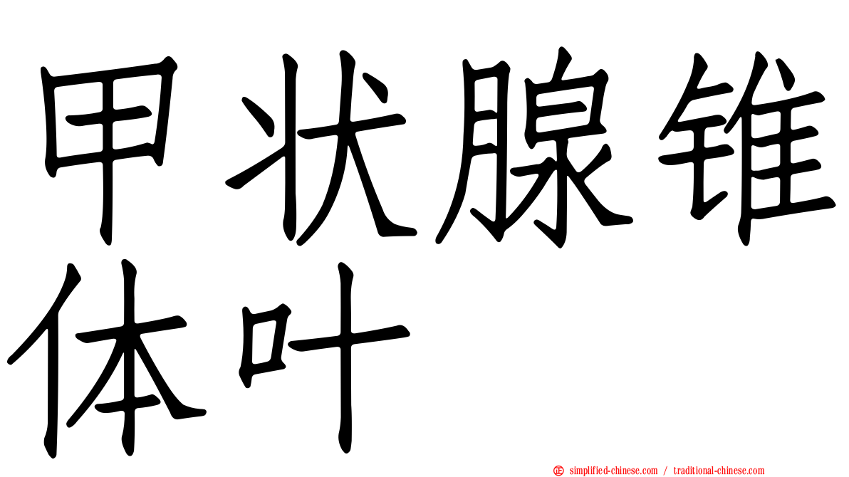甲状腺锥体叶