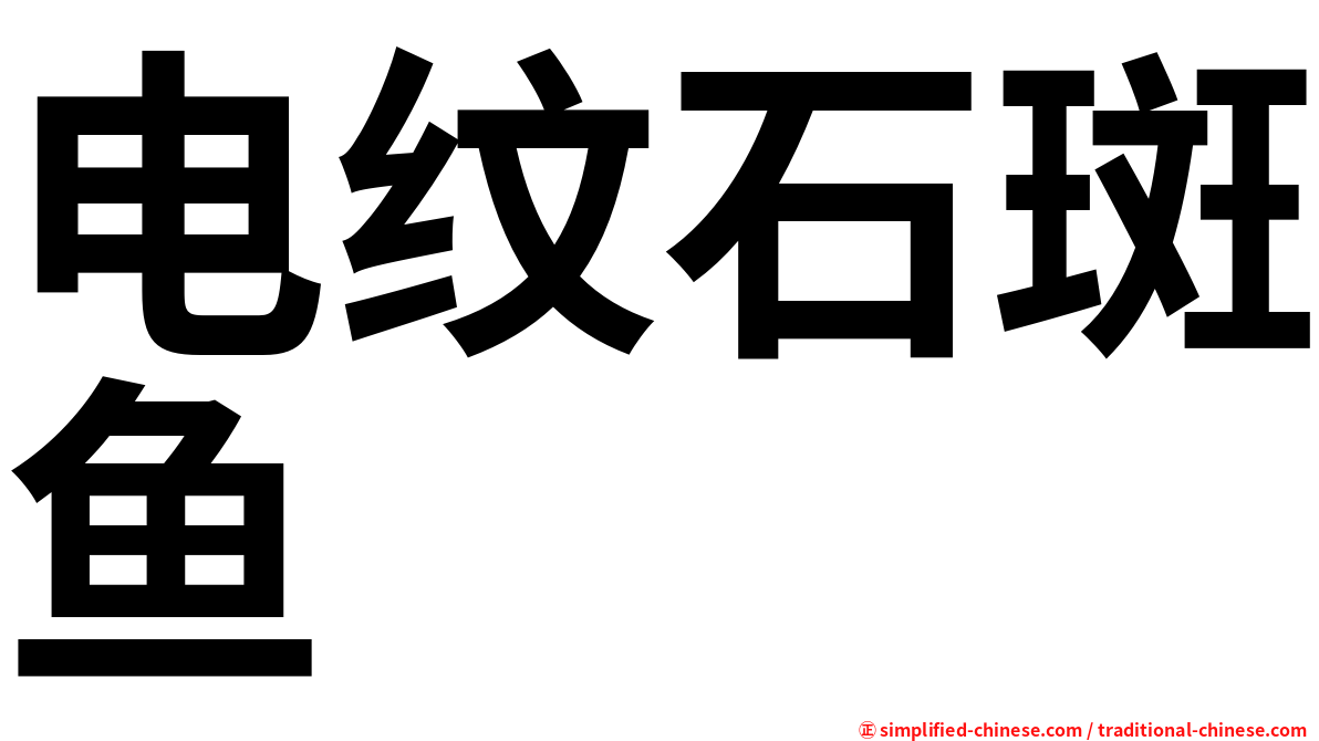 电纹石斑鱼