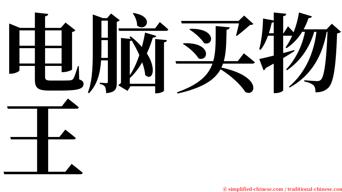电脑买物王 serif font