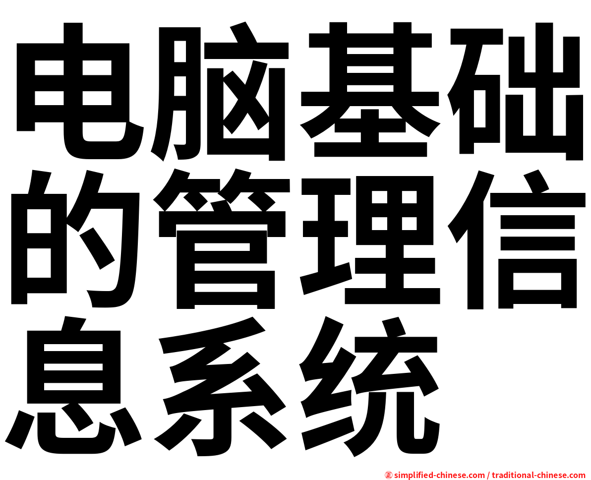 电脑基础的管理信息系统