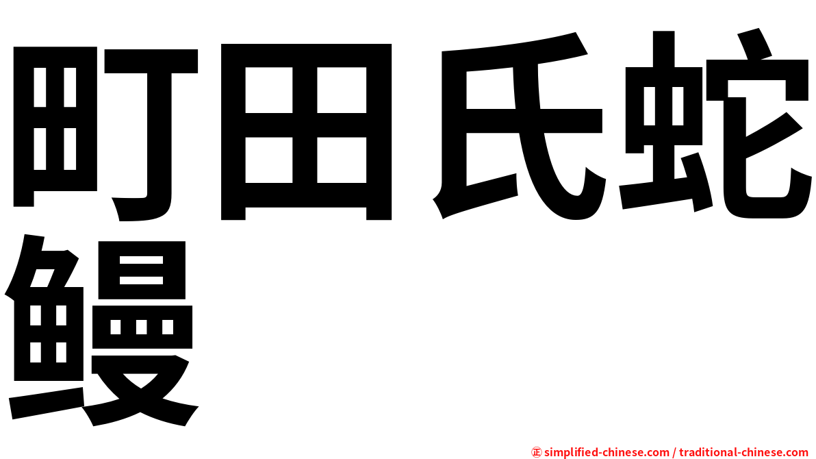 町田氏蛇鳗
