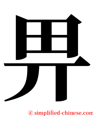 畀 serif font