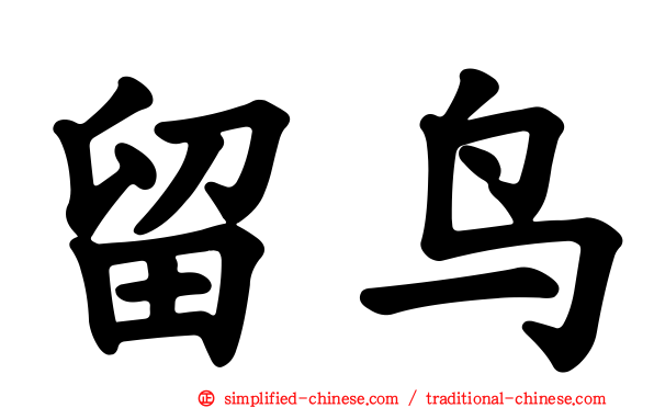 留鸟