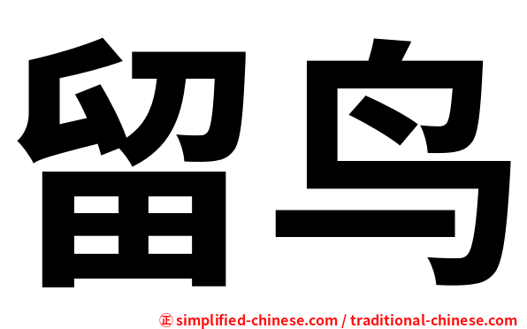 留鸟