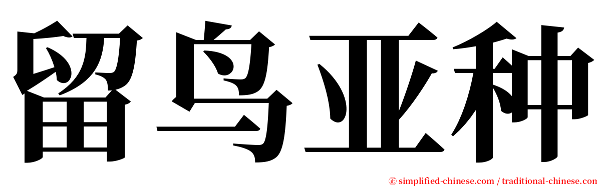 留鸟亚种 serif font