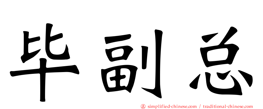 毕副总