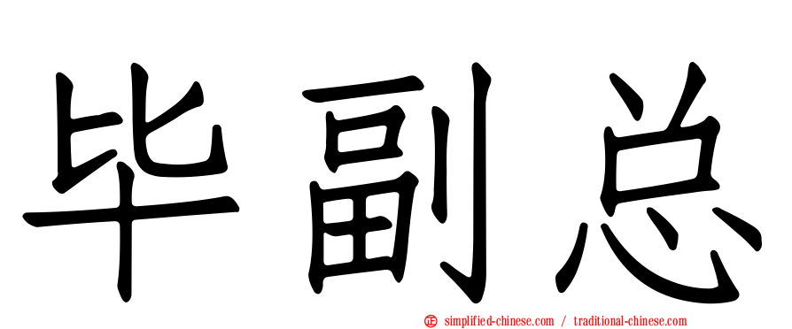 毕副总