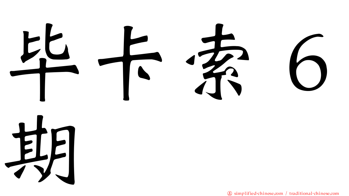 毕卡索６期
