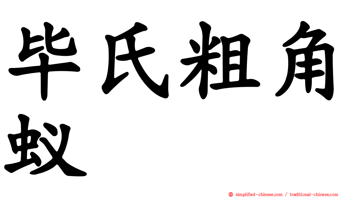 毕氏粗角蚁