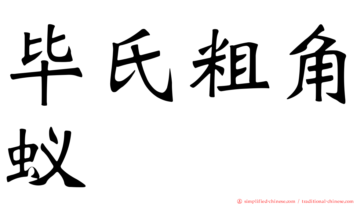 毕氏粗角蚁