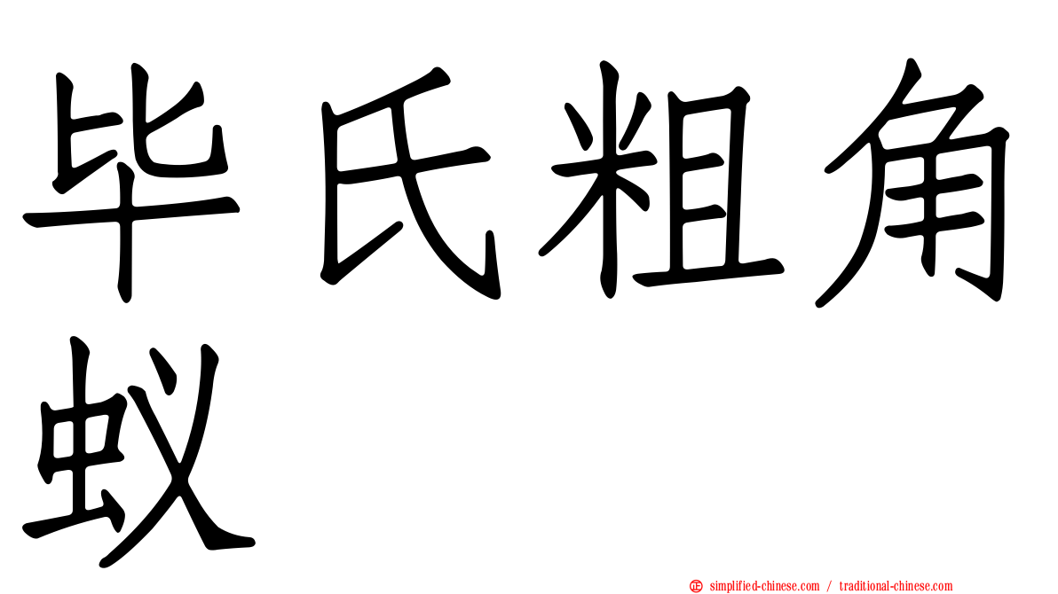 毕氏粗角蚁