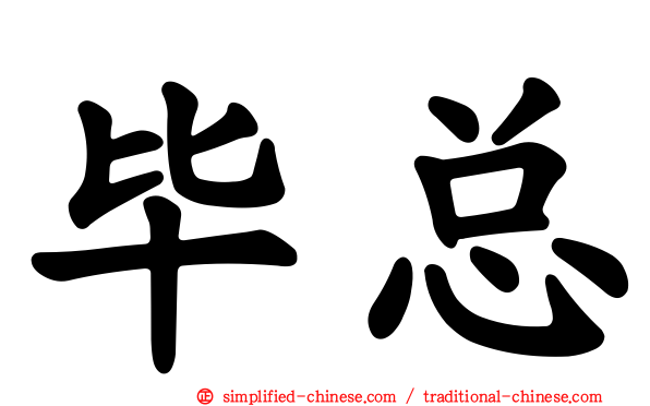 毕总