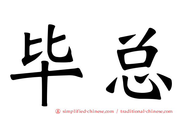 毕总