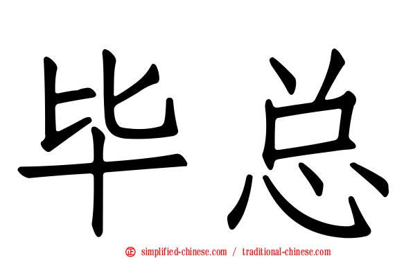 毕总