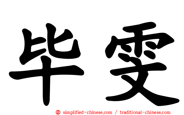 毕雯