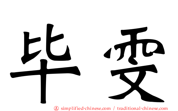 毕雯