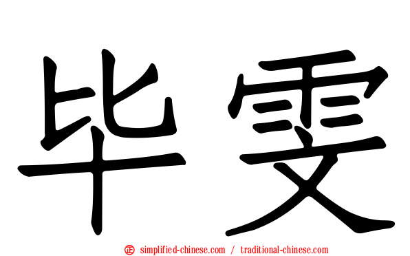 毕雯