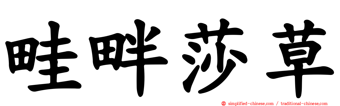 畦畔莎草