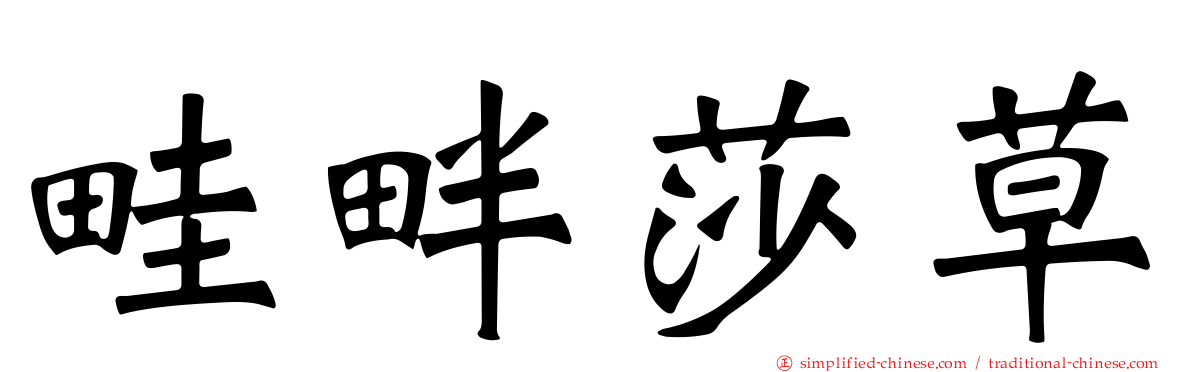 畦畔莎草