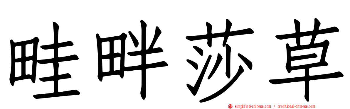 畦畔莎草