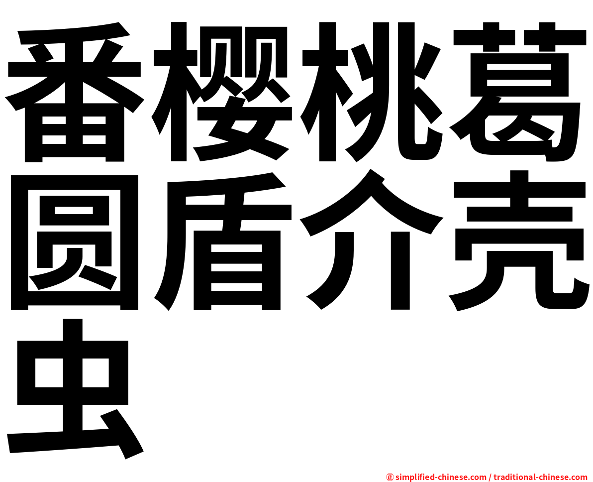 番樱桃葛圆盾介壳虫