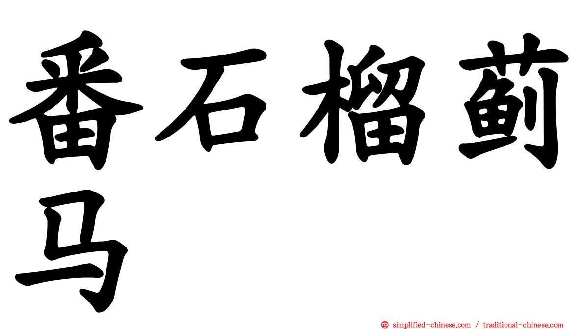 番石榴蓟马