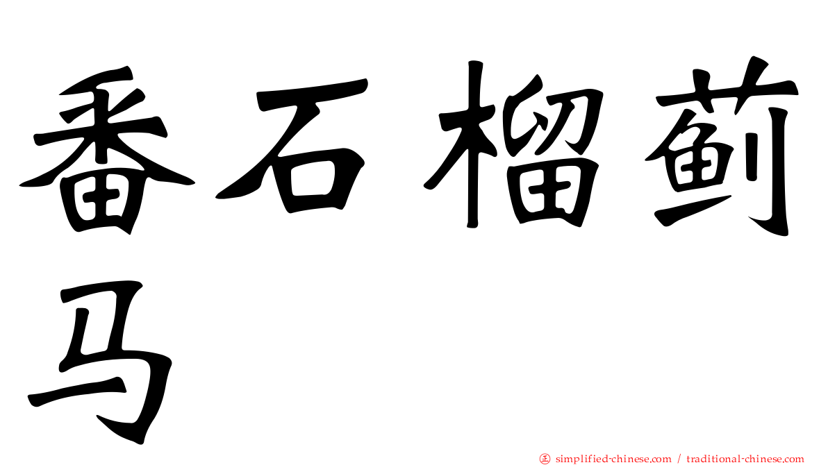 番石榴蓟马