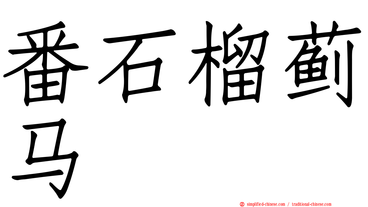 番石榴蓟马
