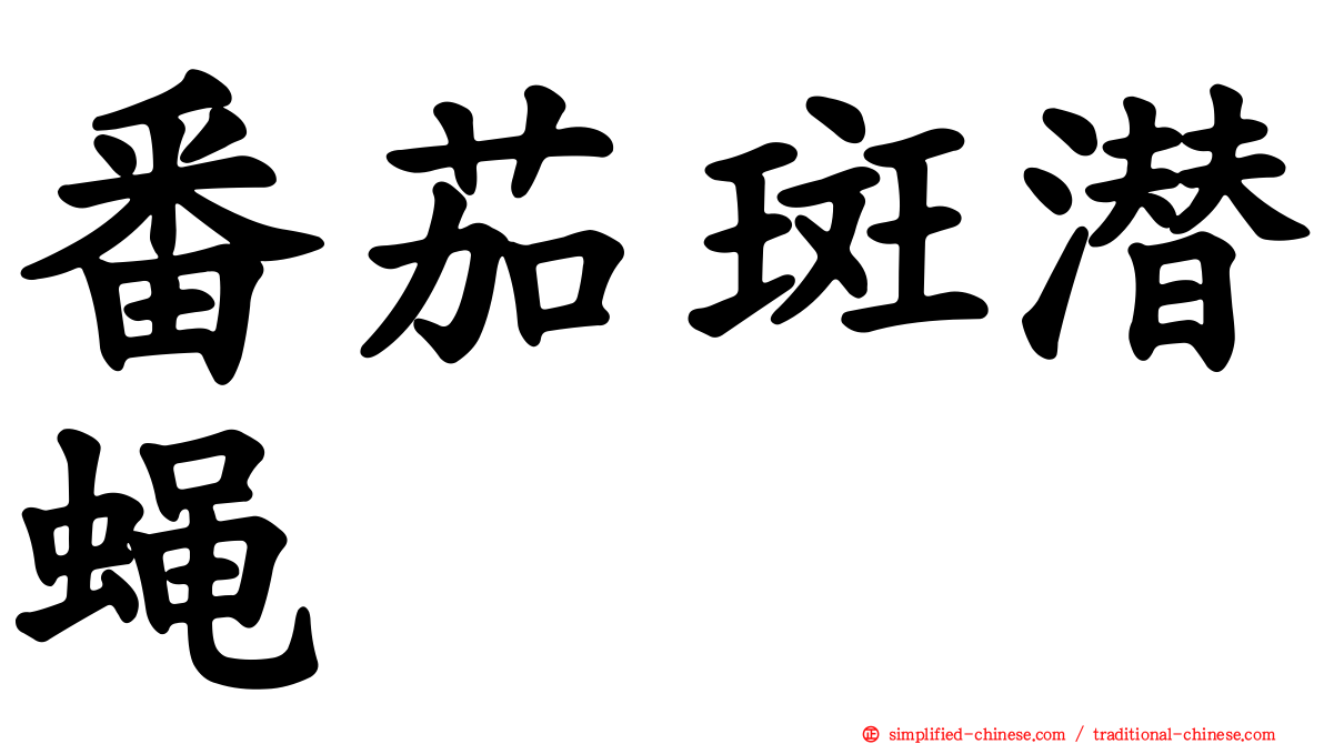 番茄斑潜蝇
