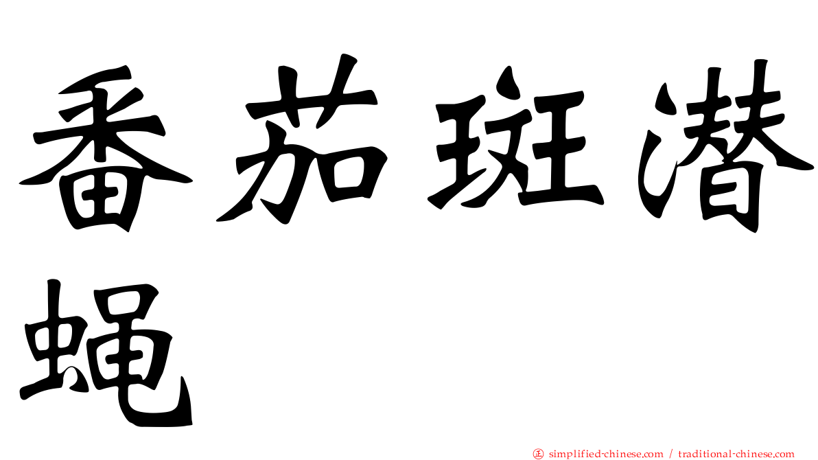 番茄斑潜蝇