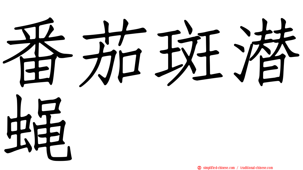 番茄斑潜蝇