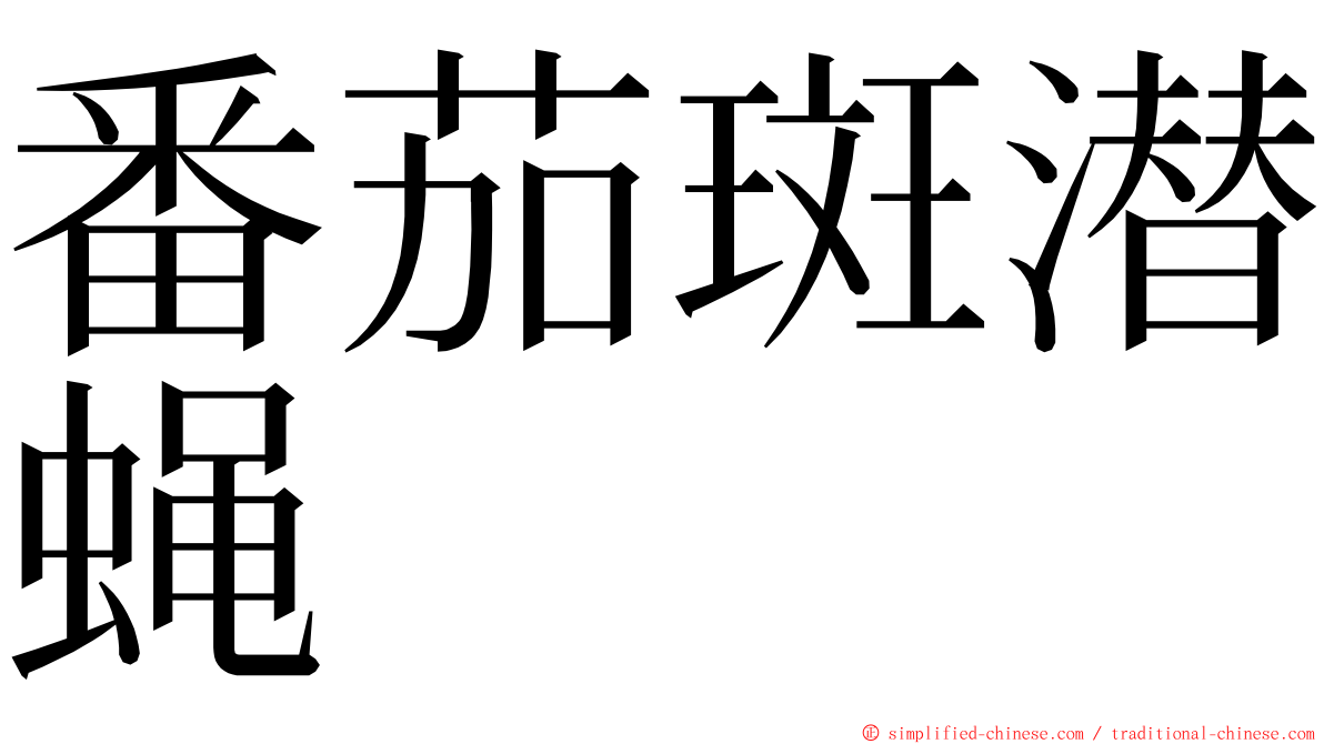 番茄斑潜蝇 ming font