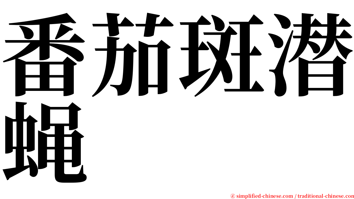 番茄斑潜蝇 serif font