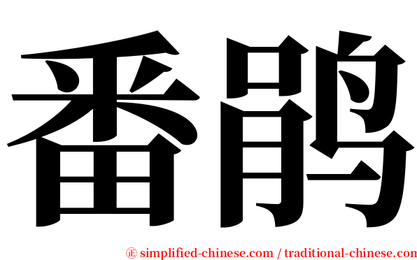 番鹃 serif font