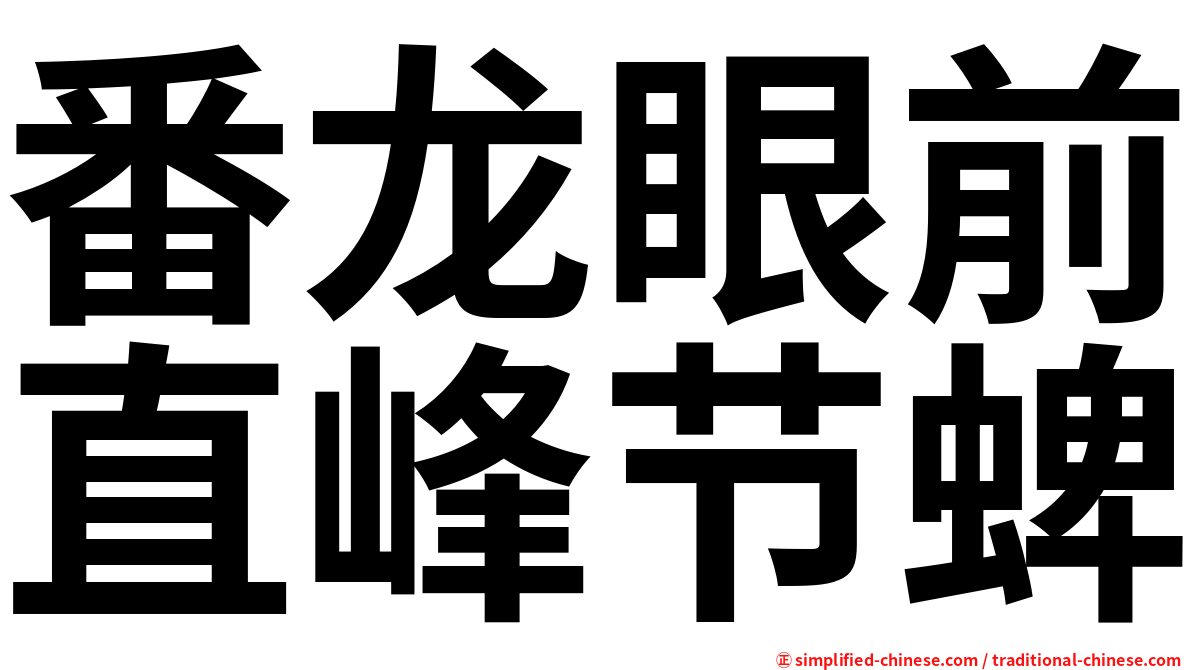 番龙眼前直峰节蜱