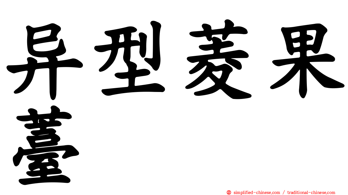 异型菱果薹