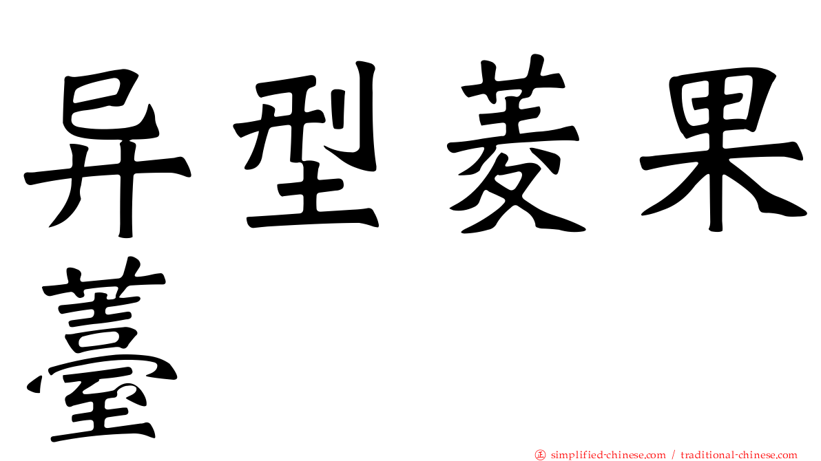 异型菱果薹