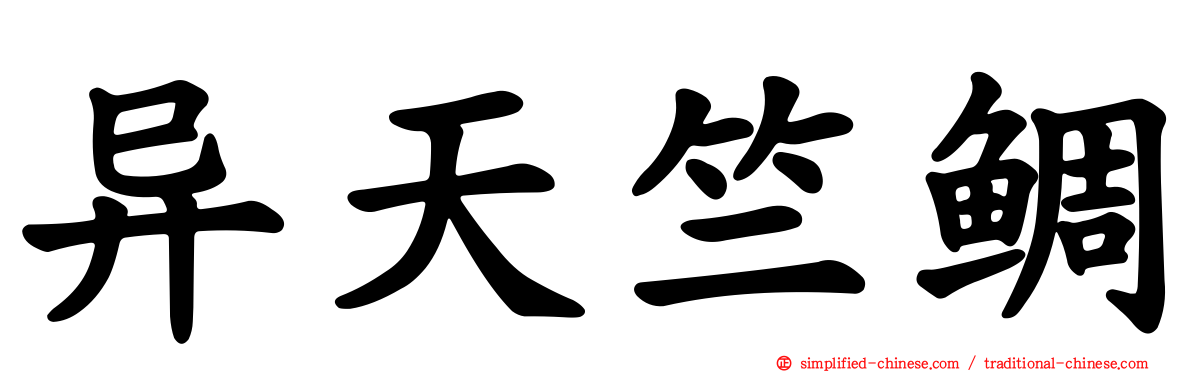 异天竺鲷