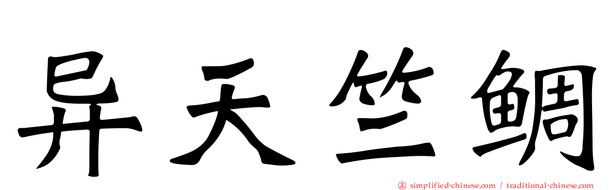 异天竺鲷