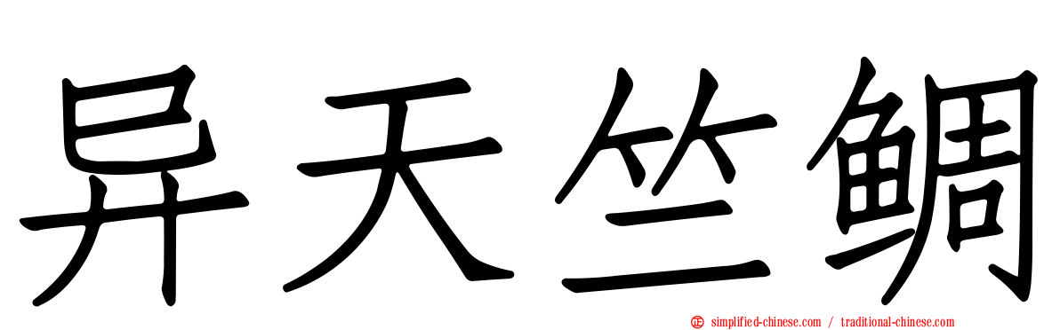 异天竺鲷
