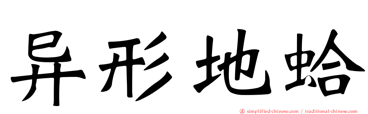 异形地蛤