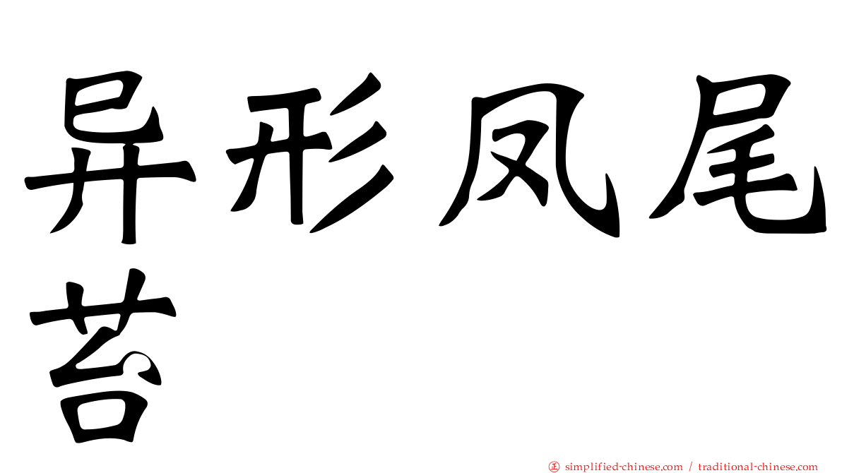 异形凤尾苔