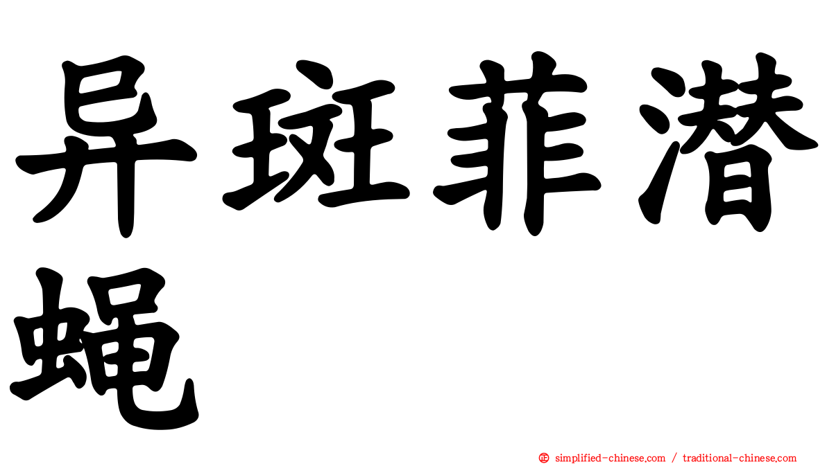 异斑菲潜蝇