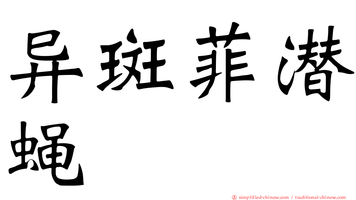 异斑菲潜蝇