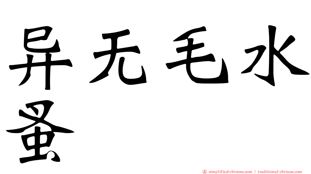 异无毛水蚤