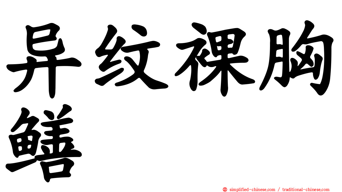 异纹裸胸鳝
